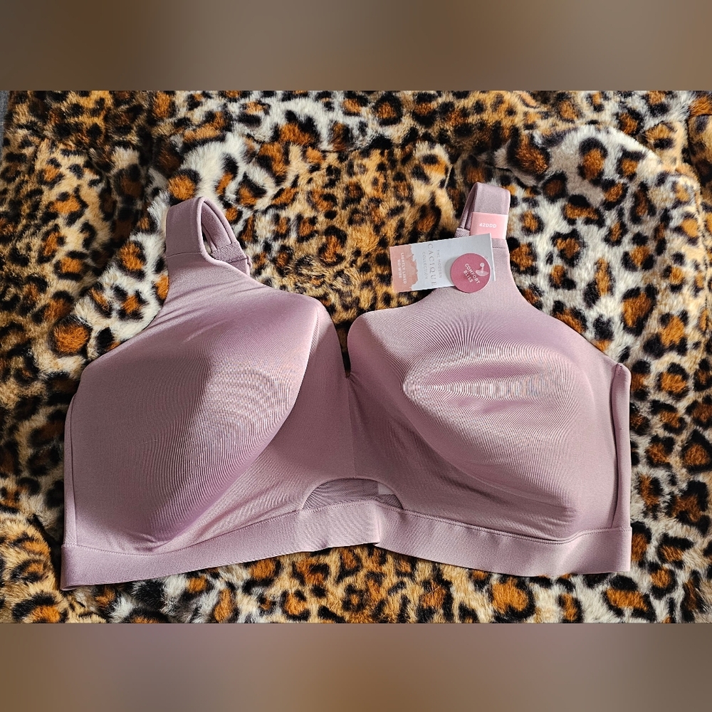 Lane Bryant Comfort Bliss bra 42DDD